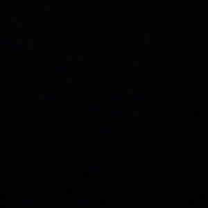 Meet your Posher, Sidney